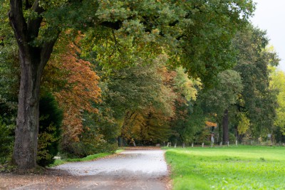 Fußweg Bohmertstraße in nordöstlicher Richtung, rechts Wiese