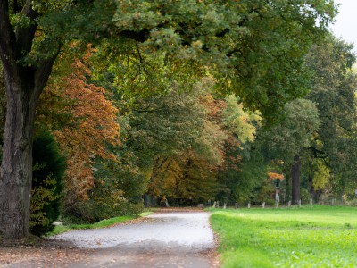 Fußweg Bohmertstraße in nordöstlicher Richtung, rechts Wiese