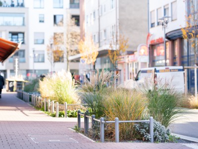 Friedrichstraße mit Pflanzinseln