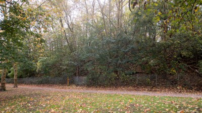 große Steinhalde, Blick auf kleinen Fußweg mit Bäumen und Büschen