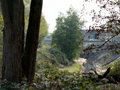 Halde Rheinbaben in Ellinghorst