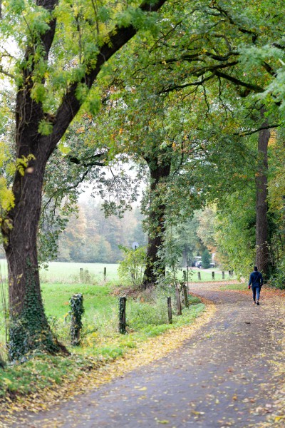Fußweg an der Bohmertstraße in nordöstliche Richtung