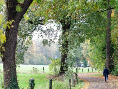 Fußweg an der Bohmertstraße in nordöstliche Richtung