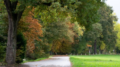 Fußweg Bohmertstraße in nordöstlicher Richtung, rechts Wiese