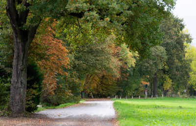 Fußweg Bohmertstraße in nordöstlicher Richtung, rechts Wiese