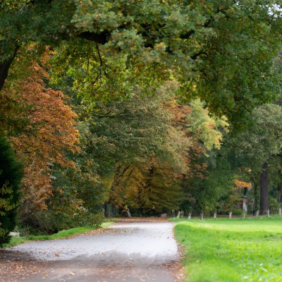 Fußweg Bohmertstraße in nordöstlicher Richtung, rechts Wiese