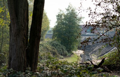 Halde Rheinbaben in Ellinghorst