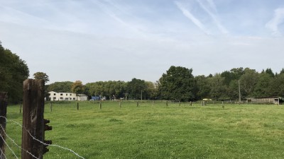 freies Feld an der Bohmertstraße