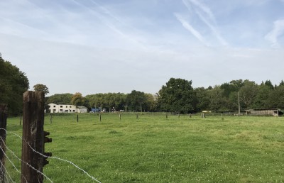 freies Feld an der Bohmertstraße