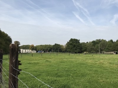 freies Feld an der Bohmertstraße