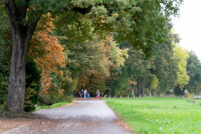 Fußweg an der Bohmertstraße in nordöstliche Richtung, rechts mit großer Wiese