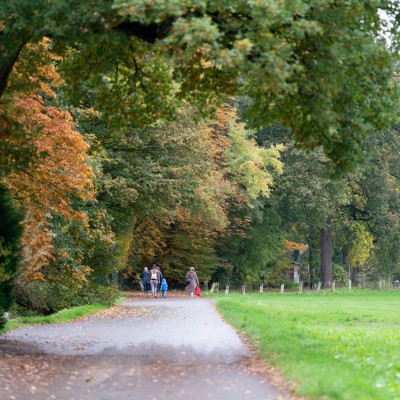 Fußweg an der Bohmertstraße in nordöstliche Richtung, rechts mit großer Wiese