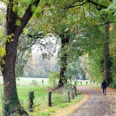 Fußweg an der Bohmertstraße in nordöstliche Richtung